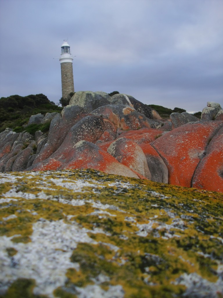 © Romain Dondelinger Tasmanie Bay of Fires 6