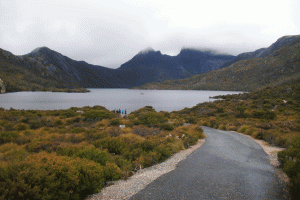 ©-Romain-Dondelinger-Tasmanie-Cradle-Mountain-6