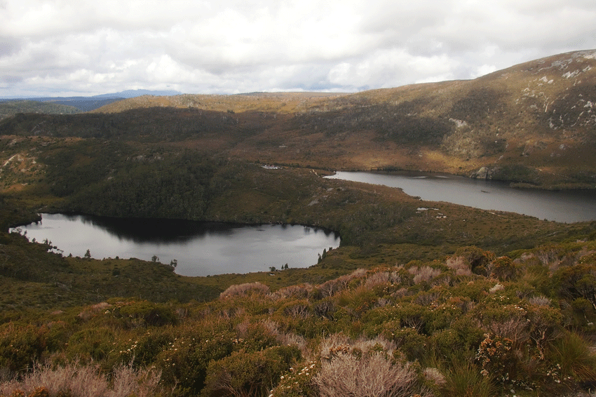 © Romain Dondelinger Tasmanie Cradle mountain (1)