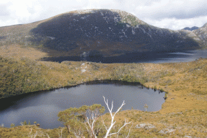 © Romain Dondelinger Tasmanie Cradle mountain (2)