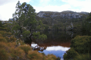 © Romain Dondelinger Tasmanie Cradle mountain (4)