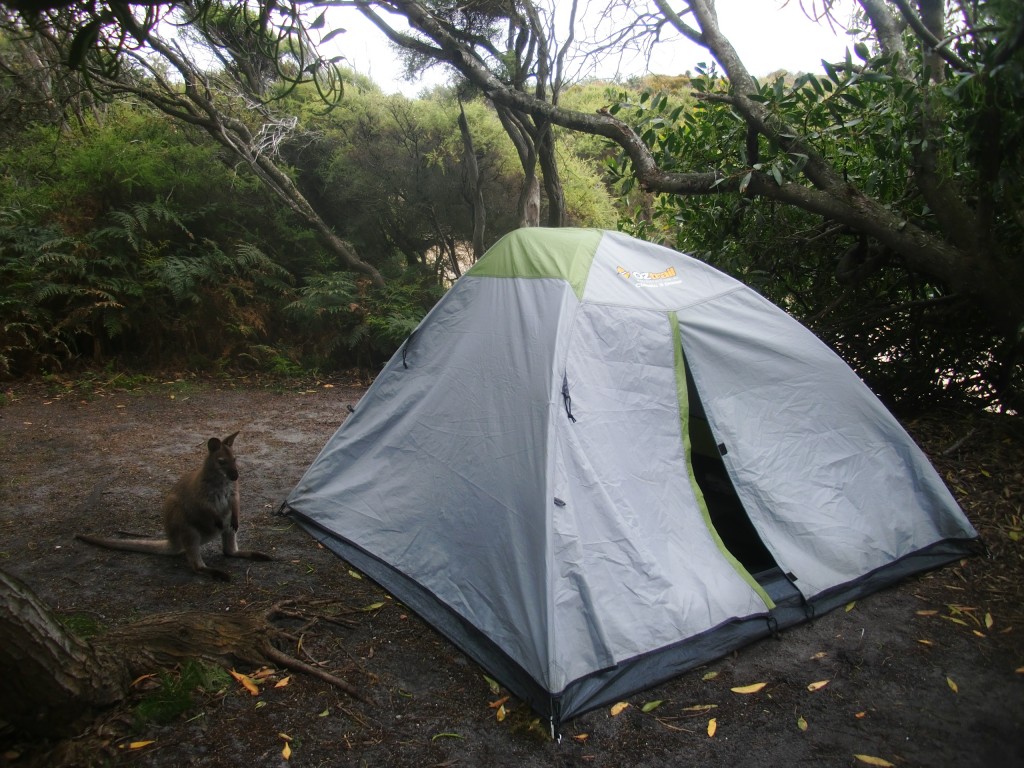 © Romain Dondelinger Tasmanie Freycinet 7