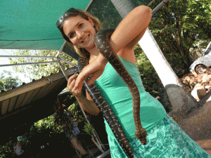 © Romain Dondelinger crocodile australie (3)