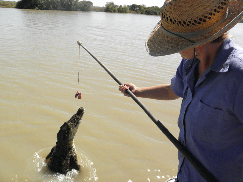 © Romain Dondelinger crocodile australie (7)