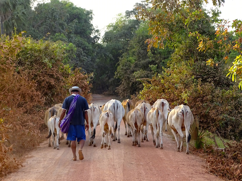 ©playingtheworld-hpaan-myanmar-voyage-25