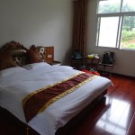 ©playingtheworld-chine-panda-bifengxia-voyage-1