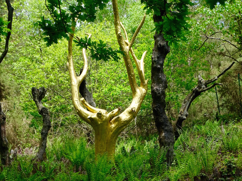 forêt de brocéliande bretagne