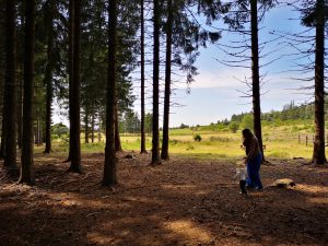Une femme et son bébé dans la forêt