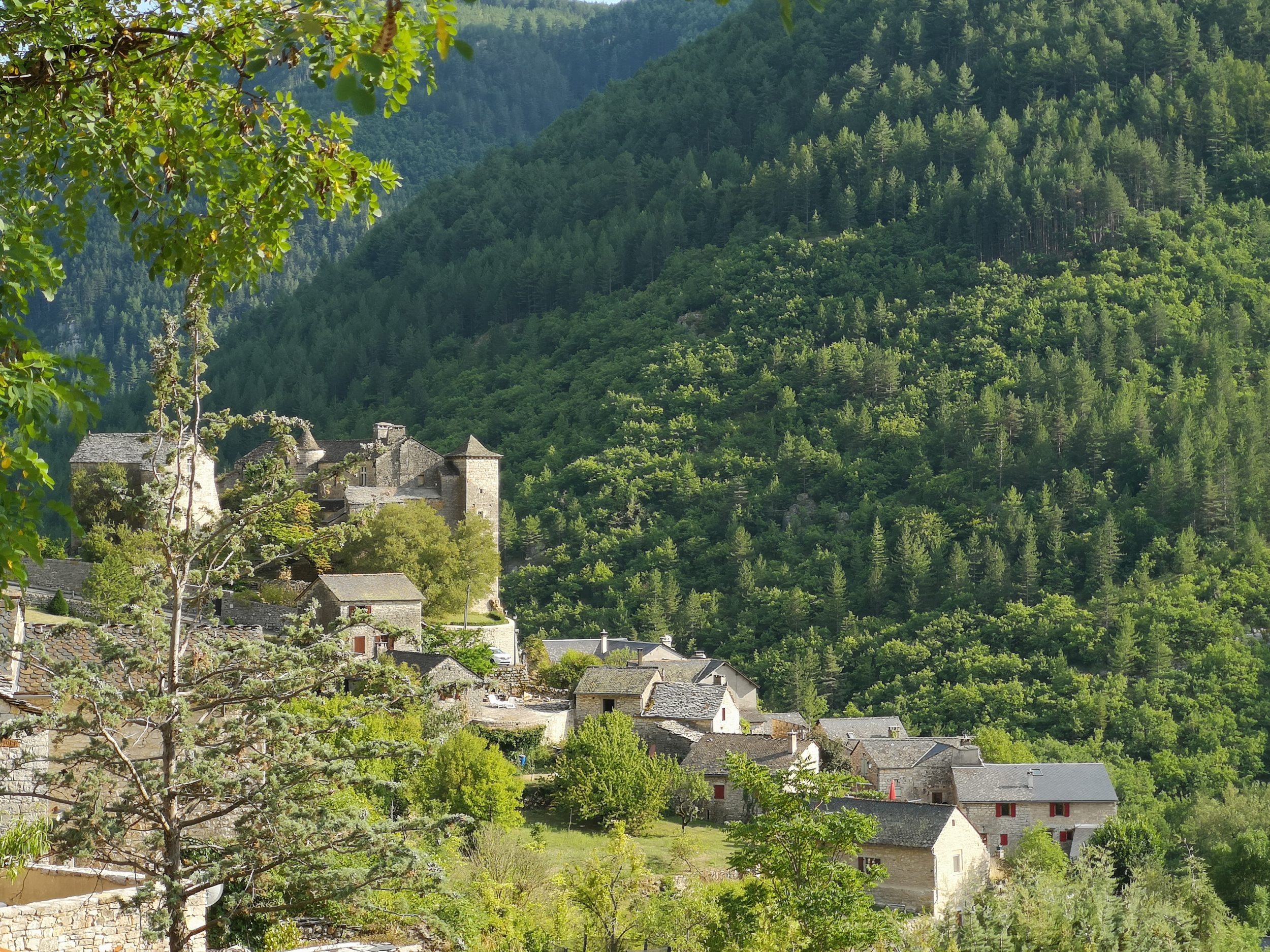 Les gorges du tarn